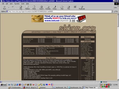 Screenshot of skinz.org...now loading...